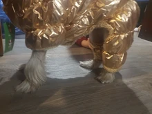 Ropa de abrigo para Perros Bulldog Francés, Ropa de cachorro, Chihuahua, yorkie, abrigo de perrito mascota, chaqueta, perros, mascotas