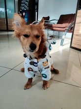 Clothing Bulldog-Clothes Corgi Raincoat Poodle Pug Bichon French Waterproof for Schnauzer