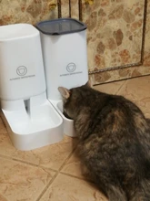 Pet-Bowl Pet-Autommatic Cats Water-Feeder/feeder-Device Small Lovefat for Fmedium