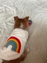 Costume Puppy-Clothes Love-Rainbow-Vest PETCIRCLE Pet-Cat Dog Winter New Fit And Four-Color