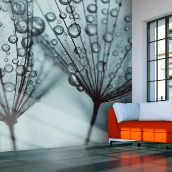 

Wall mural-Dandelion in turquoise-250x193 cm