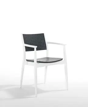 

Seginus Armchair