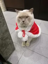 Pet Dog Cat Costume Christmas Antlers Hat Cloak Halloween Disguise Clothes For Cats Small