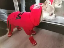 Jumpsuit Clothing Hoodies Jacket Pet-Dog-Coats Small Dogs Sport Apparel Winter Fashion