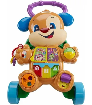 

Puppy Walker first steps FRC85