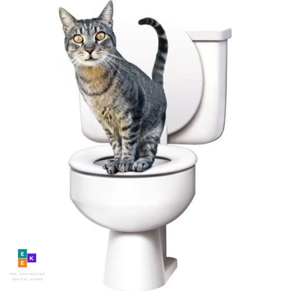 Teach cat to flush toilet top