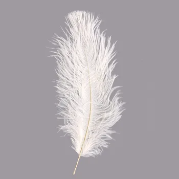 

Ar149-1 ostrich feather processed 20-25 cm, 10 pcs/pack (white)