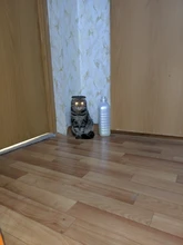 Minitiger-Interruptor táctil para luz de pared, estándar europeo, de lujo, de cristal blanco, 1 entrada y 1 vía