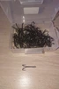 Изображение товара 5