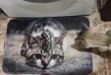 Floor-Mats Kitchen-Carpets Bathroom Welcome Anti-Slip Animal Cat Kawaii Living-Room Cat-Printed