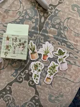 Lote de 45 unidades de adhesivos de menta para plantas, adhesivos de papelería Diy para álbum de recortes, diario, planificador, pegatina para diario, etiqueta decorativa para niños
