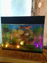 Vase-Bowl Submersible Light Party-Decoration Night-Lamp Battery-Operated Remote-Controlled