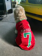 Ropa de perro, chaleco de malla para perros pequeños, medianos y grandes, uniforme de fútbol de la Copa del Mundo, ropa de baloncesto para gatos y Mascotas