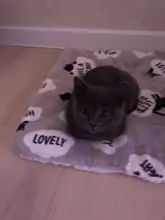 Cama de perro alfombrilla de lana suave para invierno, manta para cachorro, gato, colchón para perro, cama cálida, cojín para dormir, perrera para perros pequeños, medianos y grandes