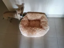 Cat-Mat Pet-Beds Square Large Super-Soft Pets Plush Solid-Color Little-Medium Warm Long