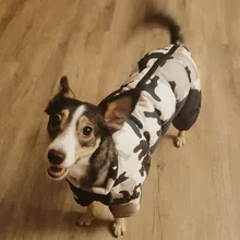 Coat Jacket Puppy Pet-Dog French Bulldog Small Dogs Waterproof Winter Super Cotton 