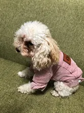 French Bulldog Small Dogs Pugs Winter For Chihuahua Outfit Pink Warm Clothing Roupa Pet-38s2