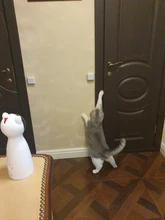 Cat-Toy Lifting-Ball Interactive Electric Funny Flutter