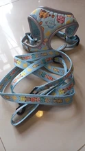 personalized Reflective Dog Cat Harness Vest Pet Adjustable Walking Leash Set for Puppy