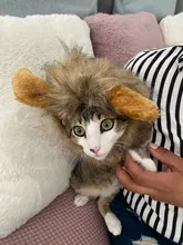 Disfraz de perro o gato Peluca de melena de León, gorro para gato, perro, ropa de Halloween y Navidad, vestido de lujo con orejas, ropa para mascotas