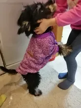 Clothing Sweater Pet-Outfit Small Dogs Classic Soft Winter For Dog Chihuahua Ropa Perro