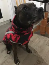 Dog Coat Dog-Jacket Labrador Reflective Large Breed Chihuahua Waterproof Winter Overalls