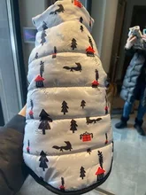 Pet Dog Winter Coat Small Dog Clothes Warm Dog Jacket Puppy Outfit Dog Coat Chihuahua