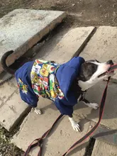 HOOPET Large Coat Down-Jacket Winter New Warm Autumn for Dogs Dog-Prints Overalls Leisure-Style