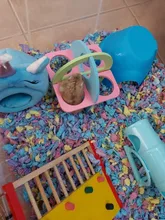 Hamster Ladder Cage-Decor Fitness-Toys Guinea Exercise Chinchilla Squirrel Climb Small