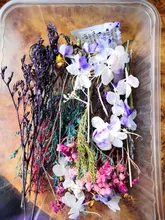 1 caja de hojas de flores prensadas reales, resina de margaritas secas, calcomanías de belleza para uñas, moldes de epoxi, embellecedores para fabricación de joyas