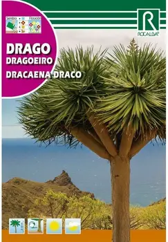 

TREE DRAGO