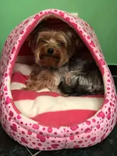 Cat Bed Nest Kennel Dog-Beds Cat-House Princess-Bed Dogs Washable Small Warm for Pet-Dog