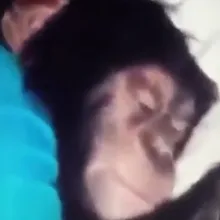 B***a