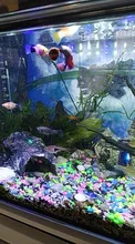 Alimento para peces en escamas de espirulina, alimento para peces de escamas, alimentación saludable del océano, para acuario, peces ornamentales, peces tropicales de mascotas para hogar, 10/20 piezas