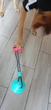 Juguetes de perro ventosa de silicona para perros de compañía Tug interactivo bola juguetes para mascotas masticar morder los dientes cepillo de limpieza de los perros Juguetes
