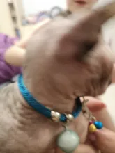 Collar con cascabel para perros y gatos, accesorios para Collar, campana sonora, gatito, seguridad, envío directo