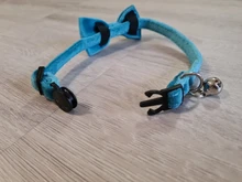 Collar de gato de terciopelo con lazo liso para cachorro, Chihuahua, con campana, hebilla de seguridad ajustable, pajarita para gatos, accesorios para mascotas