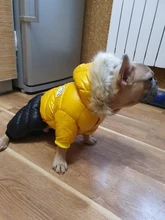 Jacket Bulldog-Clothing Pet-Coat Puppy Dogs Pug Chihuahua French Waterproof Winter Small