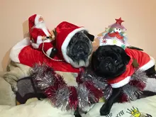 Christmas Dog Clothes Small Dogs Santa Costume for Pug Chihuahua Yorkshire Pet Cat Clothing