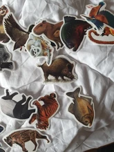 Pegatinas de animales de la selva tropical para ordenador portátil, botella de agua, bicicleta, monopatín, impermeable, pegatina para maleta, paquete de Anime, juguetes geniales