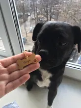 Anti-perdido personalizado Pet ID Tag perro Collar de identificación de mascotas nombre de gato para gato Collar de cachorro etiqueta colgante accesorios Collar mascotas