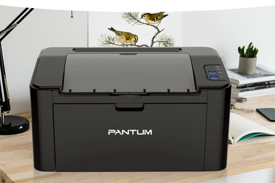 Printer-Pantum-P2500W#2