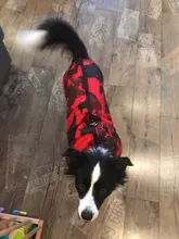 Vest Coat Jacket Pet-Dog-Clothes French-Bulldog-Pet Dogs Small Waterproof Large Winter