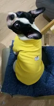 Ropa de perro de moda ropa de invierno para perros pequeños perros mediano chaqueta de abrigo Chihuahua ropa para mascotas para pequeño mediano perros Carlino