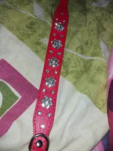 Puppy-Cat-Collars Rhinestone Dogs Small Bling Chihuahua Pug-Yorkshire Medium Adjustable
