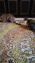 Fish-Toys Simulation Biting-Supplies Electric Playing Dog-Cat-Chewing 30CM for Pet-Cat-Toy