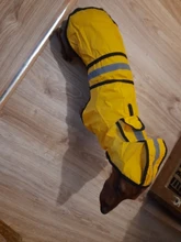 Jumpsuit Hoodies Pet-Coat Rain-Jacket Reflective French-Bulldog-S-2xl Waterproof Medium