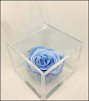 

1064 cube pink fragrant stabilized blue 6cm 6x6x6, the cube with a real rose that lasts even longer than 5 years, Pr