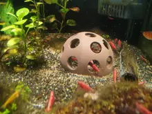 Ornament SHELTER-HOUSE Aquarium-Decoration Fish-Shrimps Fish-Tank Ceramic Canister Simulation-Stone