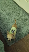 Ropa de perro para perros pequeños estampado bonito verano mascotas camiseta perro ropa chaleco para gatos mascota de algodón de T camisa Pug ropa trajes